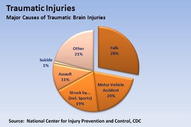Cause Tramatic Injuries Distribution Pie Diagram